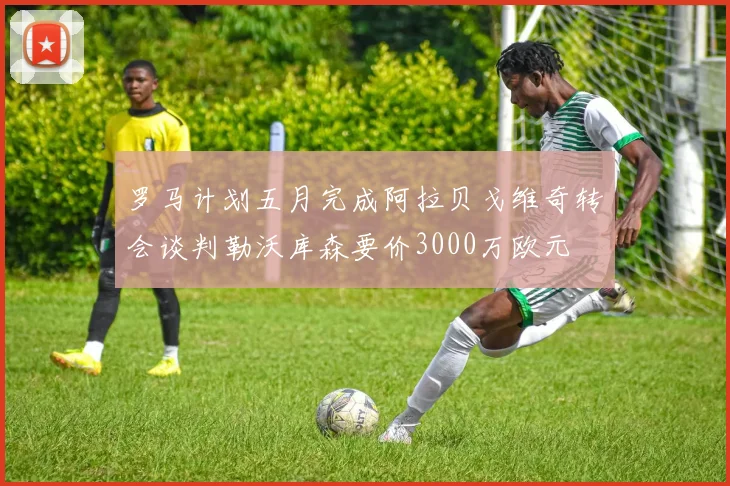 罗马计划五月完成阿拉贝戈维奇转会谈判勒沃库森要价3000万欧元
