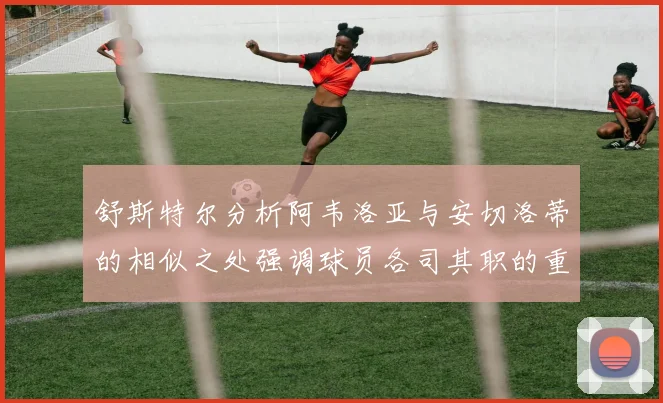 舒斯特尔分析阿韦洛亚与安切洛蒂的相似之处强调球员各司其职的重要性